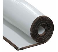 vidaXL Bâche Transparente avec œillets 3 x 3 m en polyéthylène