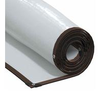 vidaXL Bâche transparente avec œillets 3x3 m polyéthylène, bâche claire 4018555