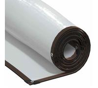 vidaXL Bâche Transparente avec œillets 4x10 m polyéthylène, bâche Claire, bâche Claire résistante, bâche en Plastique Transparente