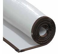 vidaXL Bâche Transparente avec œillets 4x5 m polyéthylène, bâche Claire, bâche Claire résistante, bâche en Plastique Transparente