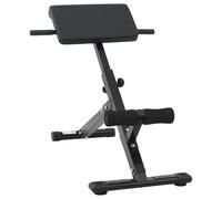 vidaXL Banc hyperextension 120 kg Pliable et Ajustable en Acier