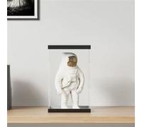 vidaXL Boîte d'Affichage Transparente, Vitrine en Acrylique, Boîte de Présentation, Boîte de Rangement pour Collections Jouets Bijoux, 22x18x35 cm Acrylique