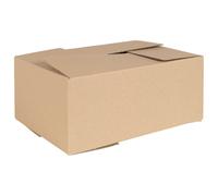 Vidaxl Boîte Pliable 50 Pcs 35x24x15 Cm