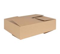 Vidaxl Boîte Pliable 50 Pcs 40x30x10 Cm Carton