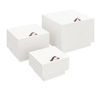 vidaXL Boîtes de rangement et couvercles 3pcs Blanc Bois massif de pin Multicolore