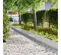 vidaXL Bords de pelouse 20 pièces 100x0,5x30 cm Acier inoxydable