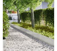 vidaXL Bords de pelouse 20 pièces 100x0,5x30 cm Acier inoxydable