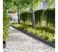 Vidaxl Bordures De Jardin 10 Pcs Anthracite 100x0,5x20 Cm Acier