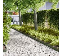 Vidaxl Bordures De Jardin 20 Pcs Vert Olive 100x0,5x15 Cm Acier