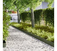 Vidaxl Bordures De Jardin 20 Pcs Vert Olive 100x0,5x20 Cm Acier