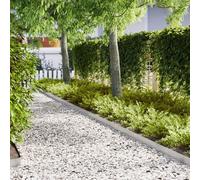Vidaxl Bordures De Jardin 30 Pcs 100x0,5x15 Cm Acier Inoxydable