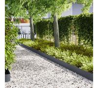 Vidaxl Bordures De Jardin 30 Pcs Anthracite 100x0,5x20 Cm Acier