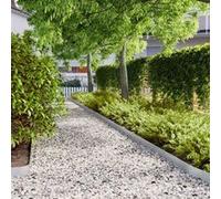 vidaXL Bordures de pelouse 10 pcs 10x103 cm acier galvanisé