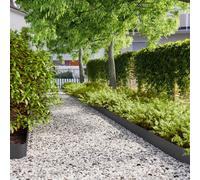 vidaXL Bordures de pelouse 10 pcs noir 15x103 cm acier laminé à froid