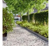 vidaXL Bordures pelouse 10pcs anthracite 15x103cm acier laminé à froid, bordure de jardin, bordure de lit de jardin, bordure 860144 Or