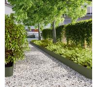 vidaXL Bordures pelouse 10pcs vert olive 20x103cm acier laminé à froid
