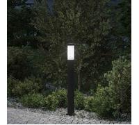 vidaXL Borne lumineuse 80 cm en acier inoxydable IP44 4006025