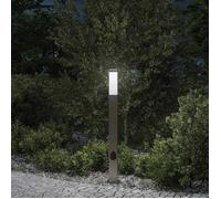 vidaXL Borne lumineuse avec sortie 80 cm en acier inoxydable IP44 4006061