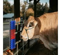 Vidaxl Brosses À Bétail Murales 50x10x6.5 Cm