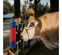 Vidaxl Brosses Pour Bétail Murales 20x9x50 Cm