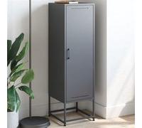 vidaXL Buffet haut anthracite 36x39x123 cm acier, buffet, placard, armoire latérale, armoire, armoire de rangement, armoire 846526 Gris G
