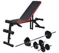 vidaXL Buikspierbank met halterset verstelbaar 30,5 kg275352 Uniforme G
