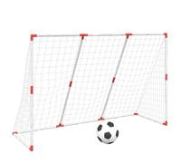 vidaXL But de Football pour Enfants avec Ballons 2 en 1 Blanc, Petit But de Football, But de Football Portable, But d’entraînement de Football pour Enfants