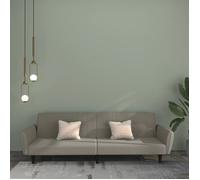 vidaXL Canapé-lit à 2 places Lit de jour Velours Gris clair