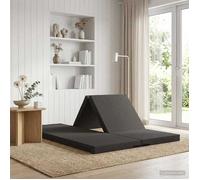 vidaXL Canapé-lit Pliable 140 x 67 x 45 cm Gris foncé, Canapé-lit Pliable Ajustable, mobilier Moderne, Gain de Place pour Chambre, Salon, canapé Multifonctionnel