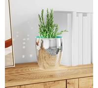 vidaXL Carreau de miroir mosaïque 12 pcs Argent 100 x 4 cm Verre