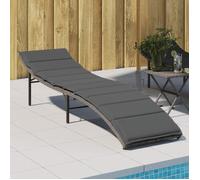 Vidaxl Chaise Longue Avec Coussin Gris 55x199x50 Cm Résine Tressée