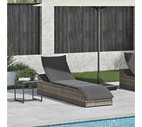 vidaXL Chaise Longue Pliante Coussin et Rangement Gris résine tressée, lit de Bronzage, Chaise Longue inclinable, lit de Jour d'extérieur