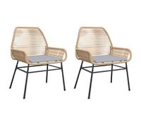 vidaXL Chaises de jardin 2 pcs. avec coussins Marron Poly Rattan