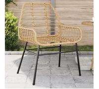 vidaXL Chaises de jardin lot de 2 marron résine tressée, siège de jardin, siège d'extérieur, chaise d'extérieur, siège de 369092