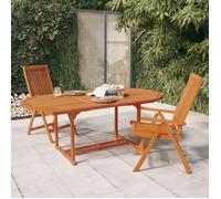 Chaises de jardin pliables 2 pcs Bois d'eucalyptus massif 316069