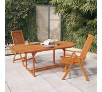 Chaises de jardin pliables 2 pcs Bois d'eucalyptus massif 316069