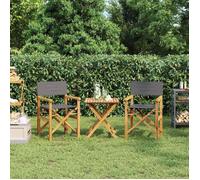 vidaXL Chaises de metteur en scène pliantes Bois teck massif Lot de 2