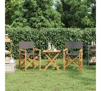vidaXL Chaises de metteur en scène pliantes Bois teck massif Lot de 2