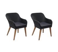 Vidaxl Chaises D'extã©Rieur 2 Pcs Avec Coussins Rã©Sine Tressã©E Noir Noir