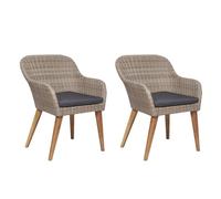 vidaXL Chaises d'extérieur avec coussins 2 pcs Résine tressée Marron