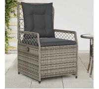 Vidaxl Chaises Inclinables De Jardin Lot De 2 Gris Résine Tressée