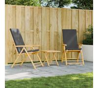 Vidaxl Chaises Inclinables De Jardin Pliantes Lot De 2 Coussins Bambou