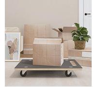 vidaXL Chariots de transport rectangulaires pour meuble 80x55x11,5 cm 250 kg 2 pcs
