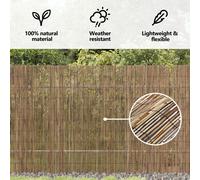 Vidaxl Clôture En Roseaux Jardin 300x140 Cm