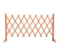 vidaXL Clôture en treillis de jardin 314826 - Séparateur & support pour plantes grimpantes Orange