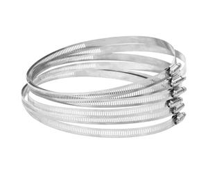 vidaXL Colliers de serrage 6 pcs 91-220 mm acier inoxydable 304