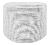 vidaXL Corde 10 pcs Blanc Coton, Corde en coton durable, écologique, souple pour bricolage, déco extérieure, pratique en intérieur, 3 brins