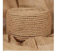 vidaXL Corde 100 % jute 10 mm 250 m Marron G