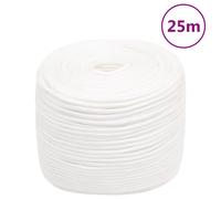 vidaXL Corde de bateau Bussandri Exclusive 8 mm 25 m polypropylène Blanc 152554