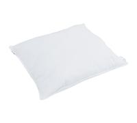 vidaXL Couette avec oreiller 2 pcs Blanc 155 x 220 cm Bas